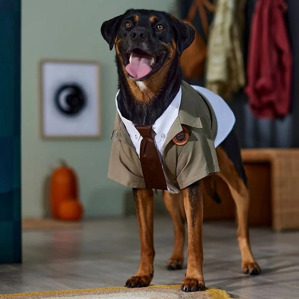 New Marvel Loki Variant Dog Costume XS